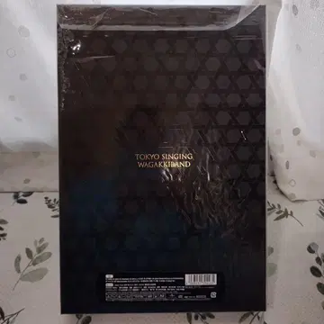 와가키밴드 / TOKYO SINGING [신 야에류반]