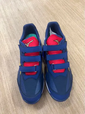 러닝화 미즈노 웨이브라이트 레보란 엘리트 28.5cm