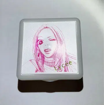 안노 모요코 리세 케이스