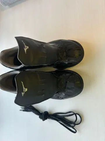 Mizuno monarucida neo