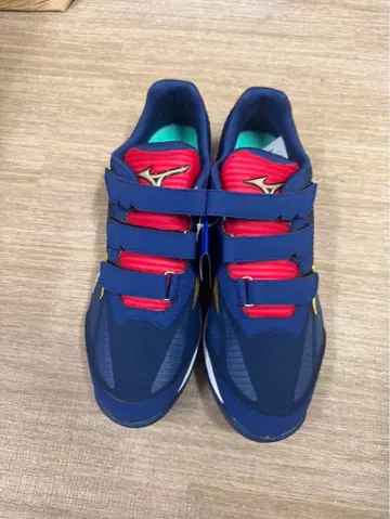 러닝화 미즈노 웨이브 브라이트 레보런 엘리트 27.5cm