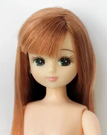 리카짱 인형 교실 리카짱 캐슬 리카활 리아쿠로