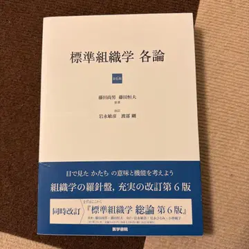 표시 사이즈 조직학 각론