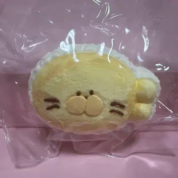 스퀴즈 물개 빵 스타일