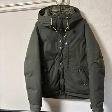 THE NORTH FACE Purple Label 다운