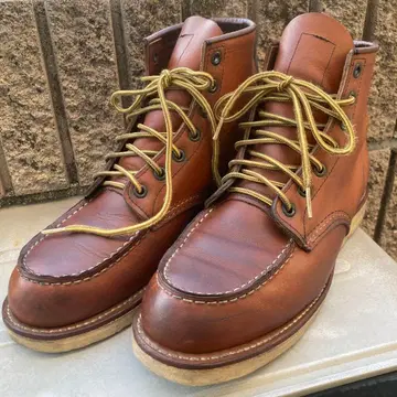 레드윙 아이리쉬 세터