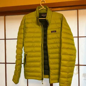 patagonia 남성용 S 그린 다운 자켓