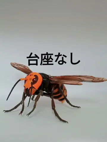 생물대도감 오오말벌 어드밴스