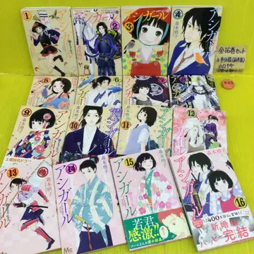 아시걸 전 16 전권 세트