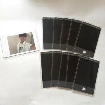 팬더드래곤 아즈 하피카