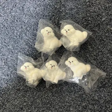 굼벵이~누2 비숑 프리제