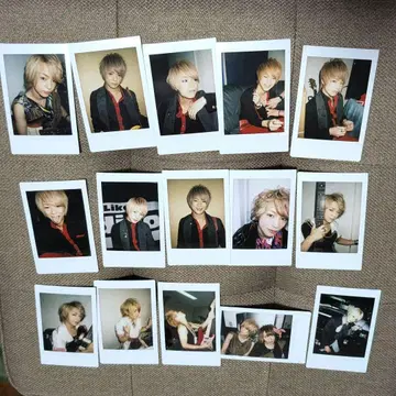 Daisy Stripper 폴라로이드 각 멤버별 있음