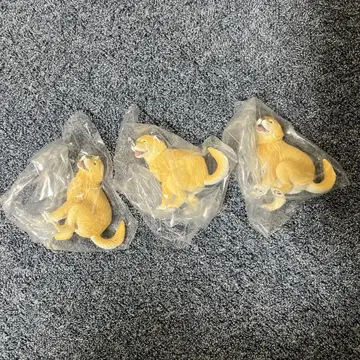 굼벵이 골든 리트리버