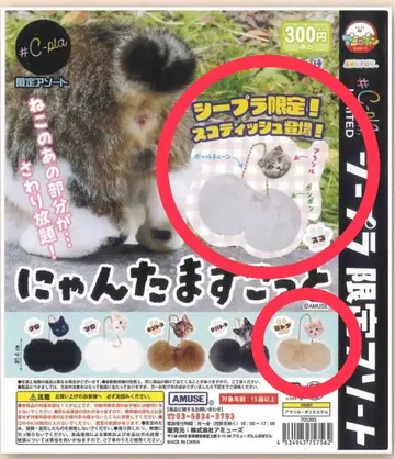 C-pla 한정판 냥타마 스코트&브라운 묶음 판매