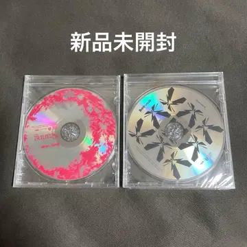 미개봉 새상품 BAND-MAID 조기 예약 특전 CD 2세트