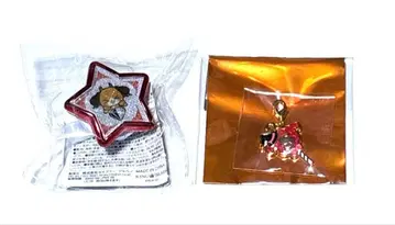 토나리노 사카타. 링 라이트, 모티브 참 2점 세트