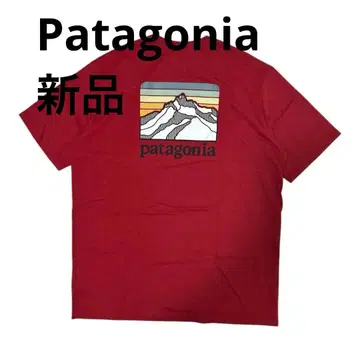 새상품 Patagonia 파타고니아 Line Logo Ridge Tee