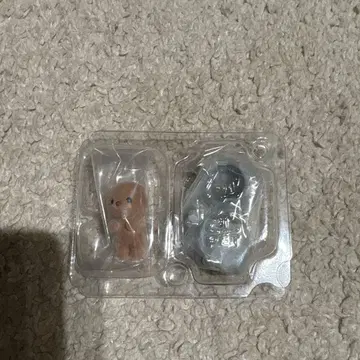 아기 요정의 숲의 동료들 시리즈 랏코의 작은 아기 코트니