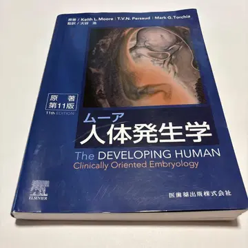 무어 인체 발생학 원서 제11판