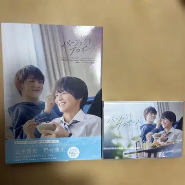 드라마 퍼펙트 프로포즈 Blu-ray&비주얼북