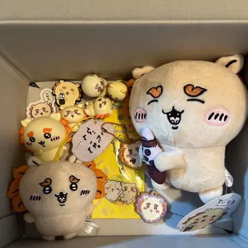 치이카와 시사 세트