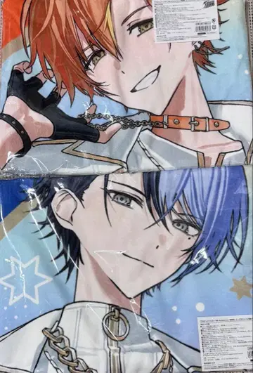 프로세카 시노노메 아키토 아오야기 토야 감사제 빅 타월