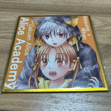 대만 한정판 학원 앨리스 색지 미캉 나츠메