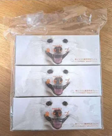 Spitz 미니 코 셀럽 고스카 팬클럽 한정판 스피츠 개 벨겐