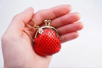 아르스 페보릿 딸기형 동전 지갑 [기프트 박스 봉투 포함]