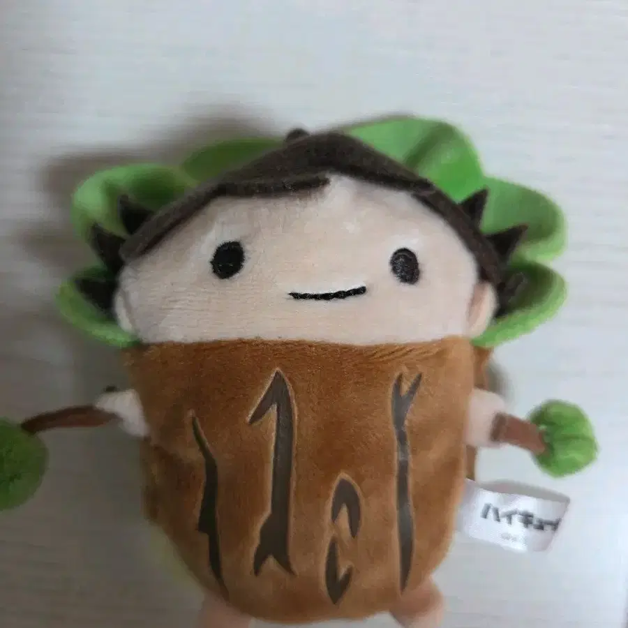 Haikyuu Oikawa Namukawa Doll wts