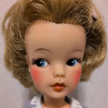 그리운 금발의 태미