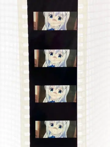 영화 주문은 토끼입니까? 내방객 혜택 생 시계 부품 필름 치노 혜택 필름