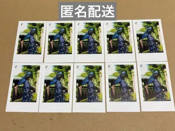 이레이스 실사 폴라로이드 If 이프 4