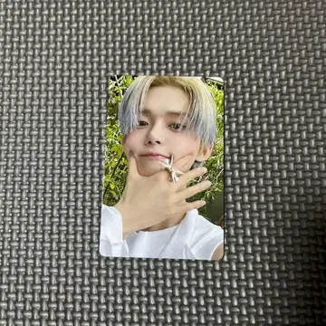 txt 팝업 포토 카드 영준