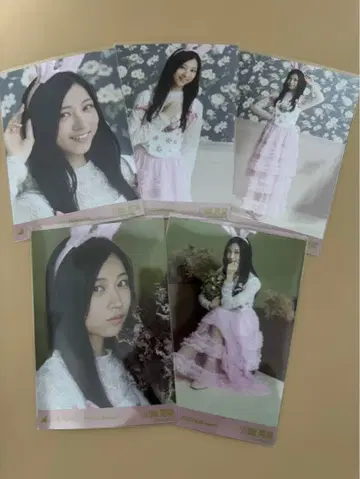 노기자카46 개별 브로마이드 카와바타 아키나 2025 할로윈 5종 컴프