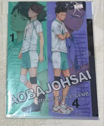 하이큐 클리어 파일 아오바죠사이 고교