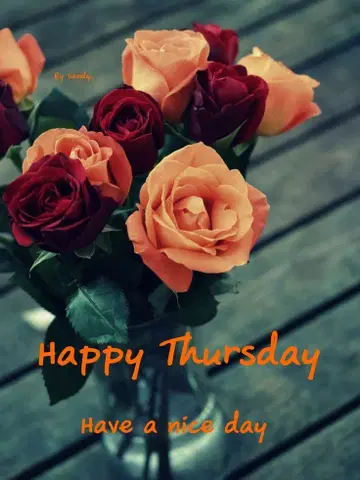 Ur's 유어즈 스웨이드풍 롱 스커트 브라운