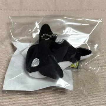 리벤지 스파이 샤치 키링 오하시 카즈야