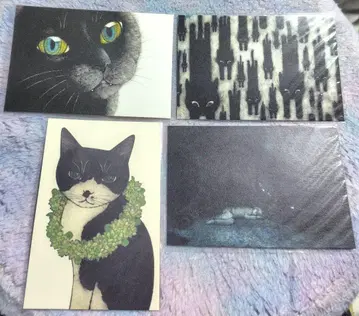 사카모토 치아키 엽서