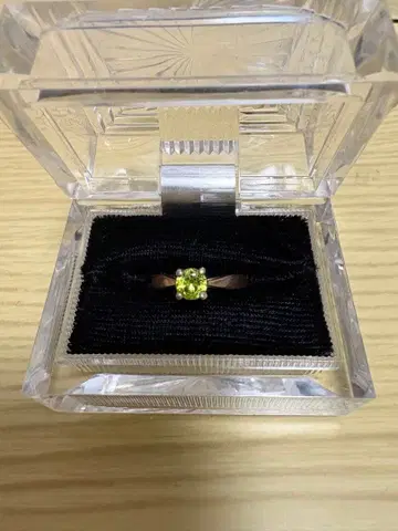 반지 케이스 포함