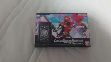 csm 라이더 패스