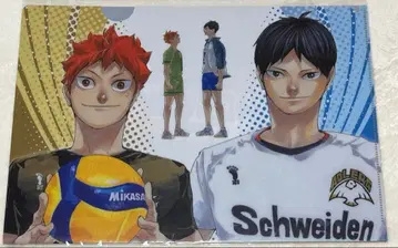 하이큐 히나타 카게야마 클리어 파일