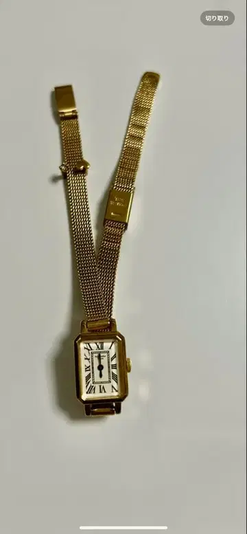 사만다 티아라 사에코 콜라보 시계