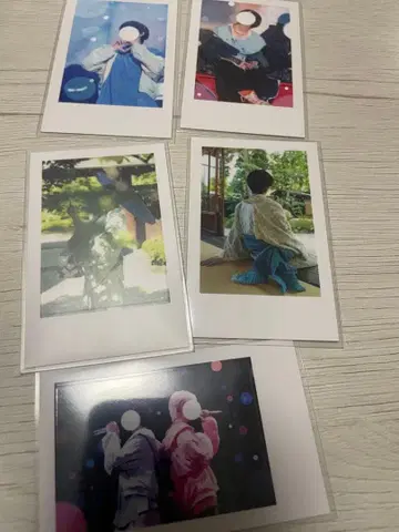 이레귤러즈 실사 폴라로이드 호토케 장미