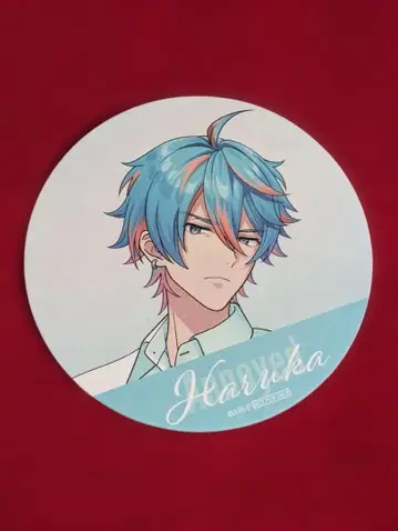 니조 하루카 코스터 엡실론 파이