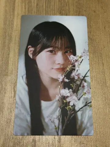 사쿠라자카46 사쿠코레 카드 무카이 이토하