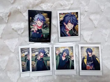 히프노시스 마이크 아리스가와 다이토 금박 파샤코레