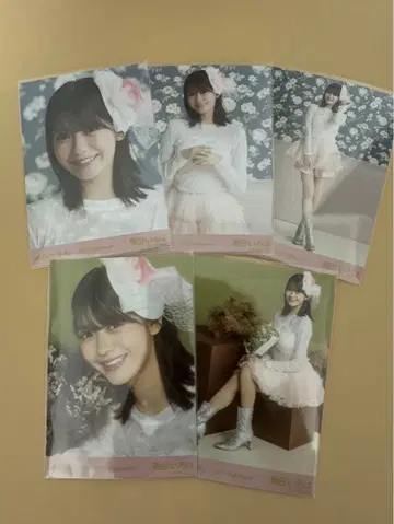 노기자카46 개별 브로마이드 오쿠다 이로하 2025 할로윈 5종 컴프