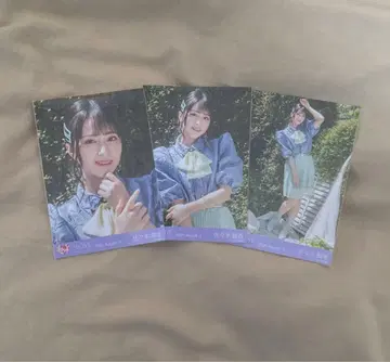 =LOVE 사사키 마이카 언니는 안 되나요 컴프 브로마이드