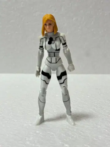 마블 유니버스 판타스틱 포 인비저블 우먼